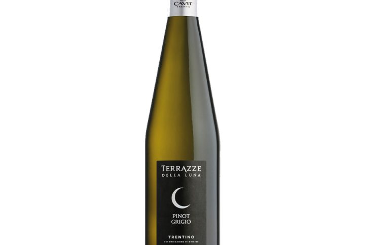 Terrazze della Luna Pinot Grigio DOC, Pinot Grigio Trentino DOC, Cavit Terrazze della Luna, Pinot Grigio, wino białe wytrawne, lekkie wino o wysokiej kwasowości, orzeźwiające wino mineralne, owocowe wino z nutą brzoskwini, Trentino Alto Adige, wino z apelacji Trentino DOC, wino z Dolomitów, Trentino, Alto Adige, wino do ryb i owoców morza, wino do sałatek i dań lekkich, wino na prezent, wino na aperitif, lekkie wino na spotkanie towarzyskie, sklep z winem online, kup wino online, wino online z dostawą, najlepsze wina Pinot Grigio, przystępne cenowo wino Trentino, dobra cena, wino w dobrej cenie, wino , wino białe, białe wino