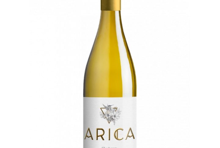 Arica chardonnay – świeże, nowoczesne chardonnay z chilijskiego wybrzeża. chardonnay 0, 75l – klasyczna pojemność butelki, idealna na spotkanie w 2–4 osoby. wino białe wytrawne – czysty, wytrawny styl bez zbędnej słodyczy. chardonnay 13% – dobrze zbalansowana moc, podkreślająca strukturę wina. Arica chardonnay tasting – świetna baza do degustacji win z regionu Arica. wino chilijskie chardonnay – połączenie słońca, oceanu i nowoczesnej winifikacji. chardonnay crisp white wine – chrupkie, rześkie, pełne energii. wino do ryb i sałatek – naturalny wybór do lekkiej kuchni. arica white wine – uniwersalne białe wino z Chile. fresh chardonnay – świeże, soczyste, pełne owoców. wino o cytrusowym aromacie – cytryna, limonka, grejpfrut w pierwszym planie. wino o mineralnym finiszu – subtelna słoność i czystość smaku. delikatne białe wino – łagodne, przyjazne, niezwykle pijalne. wino na co dzień – idealne do codziennych posiłków i spotkań. wino do lekkich potraw – świetne do kuchni śródziemnomorskiej i warzywnej. arica chardonnay 12 cl – wygodny przelicznik porcji kieliszków z jednej butelki. wino o średniej kwasowości – świeże, ale nie agresywne. wino o owocowym profilu – jabłko, gruszka, cytrusy w harmonijnej kompozycji. wino białe aromatyczne – intensywny, ale elegancki bukiet. wino do drobiu – idealne do kurczaka, indyka i lekkich mięs. wino do makaronów – świetne do past z warzywami, owocami morza i lekkimi sosami. wino o gładkiej strukturze – miękkie, jedwabiste na podniebieniu. wino z nutami jabłka i gruszki – klasyczny, apetyczny profil chardonnay. wino o świeżym charakterze – idealne na ciepłe dni i wieczory. wino na prezent – elegancka, uniwersalna propozycja dla miłośników bieli.