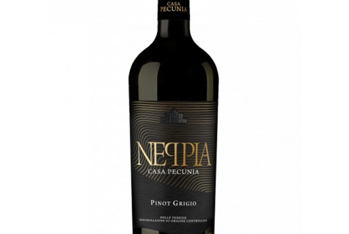 NEPPIA CASA PECUNIA PINOT GRIGIO, pinot grigio – klasyczny, lubiany szczep o świeżym, owocowym charakterze. neppia casa pecunia – producent stawiający na jakość i przystępność. wino białe wytrawne – czyste, eleganckie, bez zbędnej słodyczy. włoskie wino białe – esencja śródziemnomorskiej lekkości. pinot grigio włochy – klasyka gatunku z północnych regionów. delikatne białe wino – łagodne, przyjazne, łatwe w odbiorze. orzeźwiające białe wino – idealne na ciepłe dni i lekkie posiłki. wino o cytrusowych aromatach – świeże nuty cytryny, limonki i grejpfruta. wino o mineralnym finiszu – czyste, eleganckie zakończenie każdego łyku. wino na co dzień – uniwersalne, zawsze na miejscu. wino do lekkich potraw – sałatki, warzywa, delikatne dania. wino do ryb i sałatek – naturalny partner kuchni śródziemnomorskiej. wino o niskiej kwasowości – łagodne dla podniebienia. wino wytrawne 12% – idealny balans mocy i lekkości. wino 0, 75l – klasyczna pojemność na dzielenie się. wino z włoch – gwarancja stylu i tradycji. wino o świeżym profilu – rześkie, energetyzujące. wino o lekkiej strukturze – zwiewne, nieprzytłaczające. wino białe premium – jakość w przystępnej formie. wino do makaronów – idealne do past z warzywami i owocami morza. wino o owocowym charakterze – soczyste, pełne białych owoców. wino jasne i lekkie – wizualna i smakowa lekkość. wino na lato – schłodzone, idealne na ciepłe wieczory. wino eleganckie białe – stylowe na stole i w kieliszku. wino uniwersalne do jedzenia – pasuje do wielu kuchni i okazji.