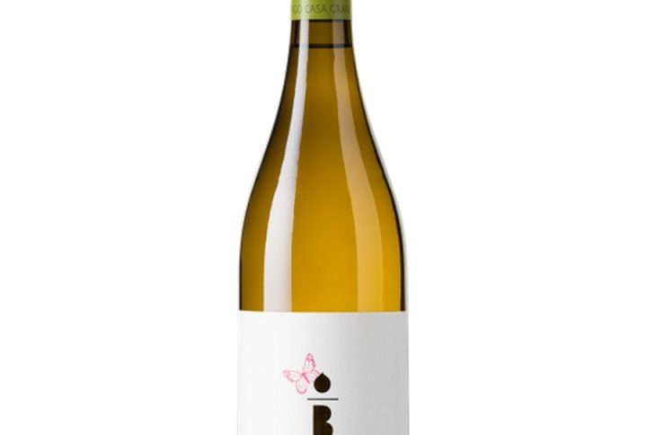 pago casa benasal blanco – świeże, rześkie, nowoczesne hiszpańskie białe wino o ekologicznym rodowodzie. benasal blanco organic – certyfikowane wino ekologiczne i wino wegańskie dla świadomych konsumentów. hiszpańskie wino białe – autentyczne wino z Hiszpanii, idealne jako wino na lato i wino na co dzień. aromatyczne białe wino – wino z aromatem cytrusów i wino z aromatem owoców, pełne świeżości. wino wytrawne – lekkie, rześkie, z wyraźną kwasowością i elegancką mineralnością. wino do ryb, wino do sałatek i wino do lekkich potraw – idealny partner kuchni śródziemnomorskiej. wino lekkie, wino o niskiej mocy, wino 12% – świetny wybór na dłuższe spotkania i degustacje. wino ekologiczne hiszpania oraz bio white wine spain – połączenie jakości, natury i nowoczesnego stylu.