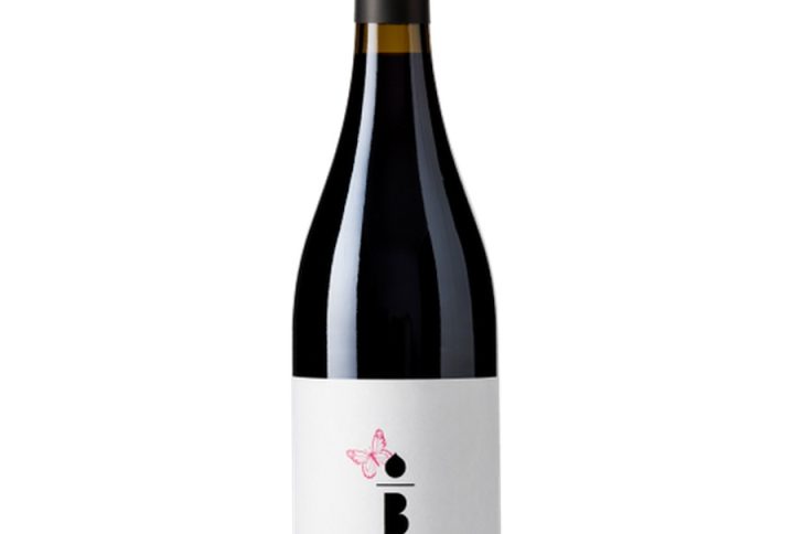 PAGO CASA BENASAL TINTO, pago casa benasal tinto. benasal tinto organic. hiszpańskie czerwone wino. wino organiczne czerwone. wino ekologiczne Hiszpania. czerwone wytrawne organiczne. wino z Hiszpanii bio. organic tinto wine. hiszpańskie wino ekologiczne. wino czerwone 13, 5%. wino na co dzień czerwone. wino z Walencji. bio tinto. wino ekologiczne czerwone. wino hiszpańskie wytrawne. wino z certyfikatem organic. wino do mięsa czerwone. wino do makaronu czerwone. wino z aromatem owoców czerwonych. wino zrównoważone czerwone. wino ekologiczne do kolacji. wino czerwone z hiszpanii. wino organiczne tinto. hiszpańskie wino bio. wino czerwone średnia budowa.