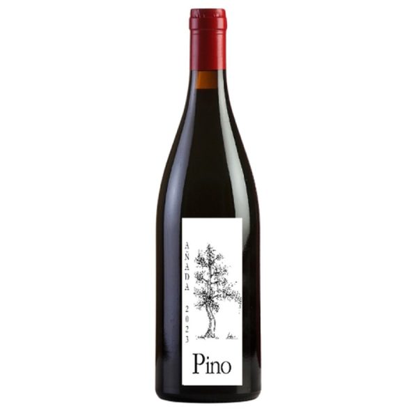Pino 2023 – | Ponce