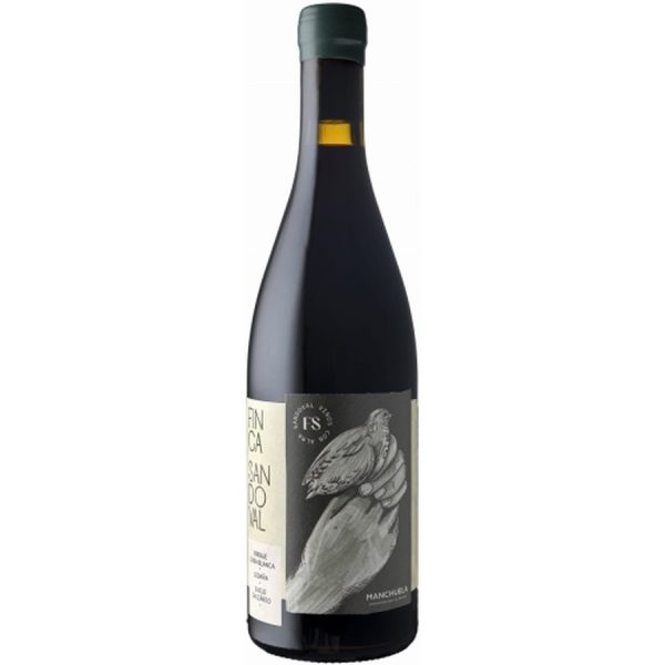 Finca Sandoval 2023 – | Finca Sandoval