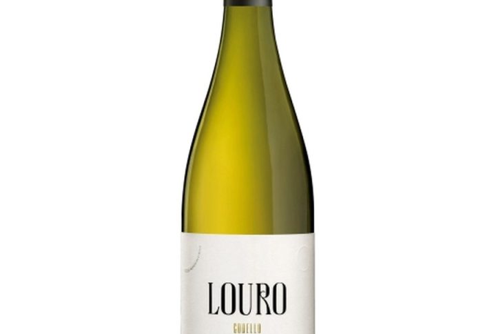 Louro | Rafael Palacios