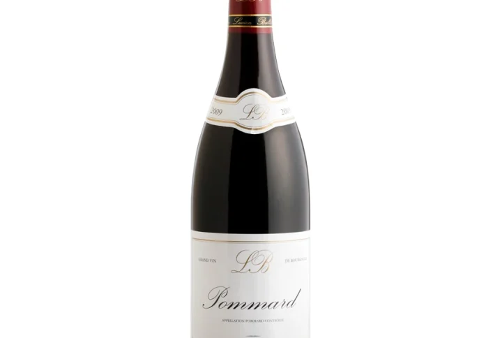Pommard 2021 | Domaine Lucien Boillot Et Fils Wino Dostępne W Winny Skład Najlepszym Sklepie Internetowym Z Winem
