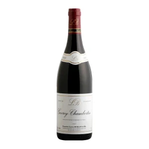 Gevrey-Chambertin 2021 | Domaine Lucien Boillot Et Fils Wino Dostępne W Winny Skład Najlepszym Sklepie Internetowym Z Winem