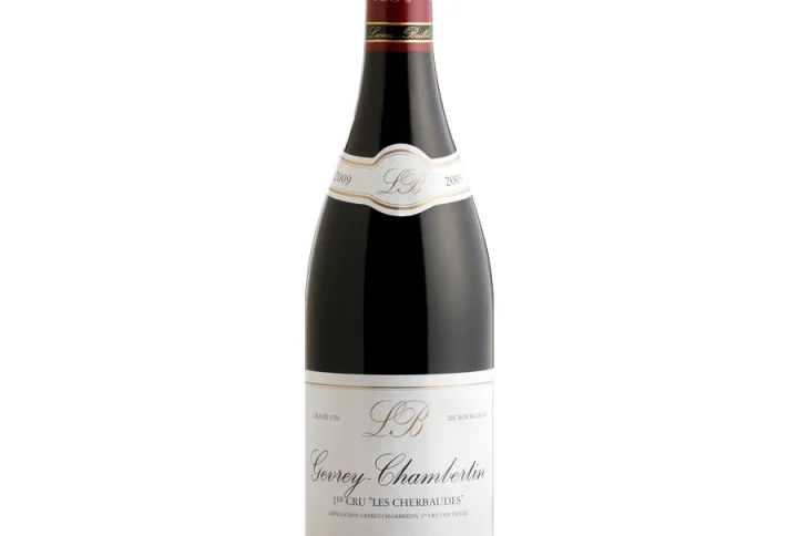 Gevrey-Chambertin 1Er Cru Le Cherbaudes 2022 | Domaine Lucien Boillot Et Fils Wino Dostępne W Winny Skład Najlepszym Sklepie Internetowym Z Winem