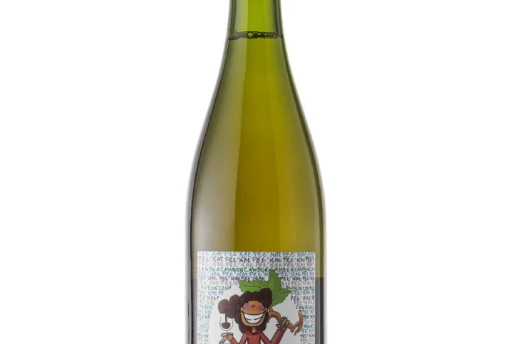 Gamay Pét-Nat | Chateau Cambon Wino Dostępne W Winny Skład Najlepszym Sklepie Internetowym Z Winem