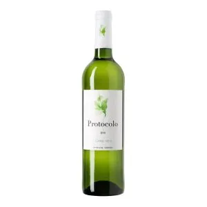 PROTOCOLO BLANCO ORGANIC DO Hiszpania ,  Castilla y León/  Tierra de Castilla , wino białe , Macabeo , wytrawne , interneowy sklep z winem , prezenty , prezenty firmowe , upominki firmowe