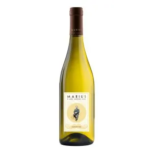 Maison Chapoutier Marius Blanc, Wino, wino białe, francuskie białe wino , francuskie wino, białe wytrawne wino , wytrawne wino, internetowy sklep z winem, sklep on-line, sklep z winem, wino do serów, wino na grilla, wino na lato , letnie wino, wino wytrawne, białe wytrawne francuskie wytrawne wino, białe wytrawne wino z Langwedocji , wino dla każdego, Maison Chapoutier, Terret , Vermentino